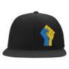 315 Syracuse - ukraine fist side logo embroidered flexfit hat