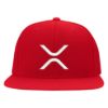 315 Syracuse - xrp logo embroidered flexfit hat