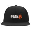 315 Syracuse - plan b bitcoin logo embroidered flexfit hat