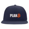 315 Syracuse - plan b bitcoin logo embroidered flexfit hat
