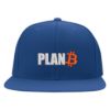315 Syracuse - plan b bitcoin logo embroidered flexfit hat