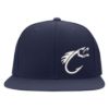 315 Syracuse - bass pro fish hook logo embroidered flexfit hat