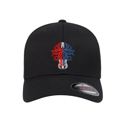 315 Syracuse - grateful dead jerry garcia govt mule guitar logo embroidered flexfit hat