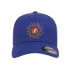 315 Syracuse - grateful dead sunshine daydream logo embroidered flexfit hat