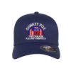 315 Syracuse - donkey pox the disease killing america logo embroidered flexfit hat