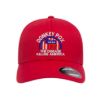 315 Syracuse - donkey pox the disease killing america logo embroidered flexfit hat
