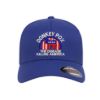 315 Syracuse - donkey pox the disease killing america logo embroidered flexfit hat